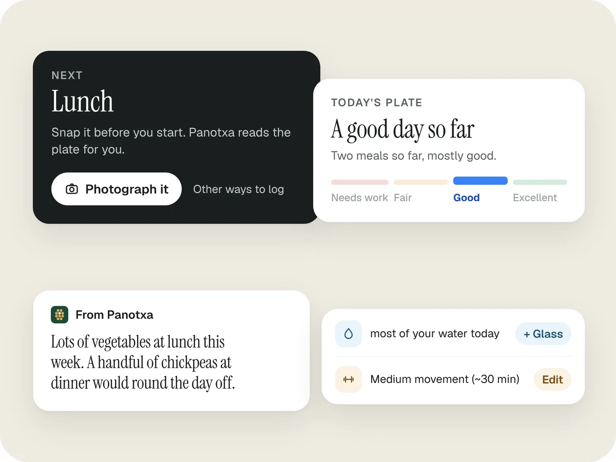 The Today screen as cards: the next meal with a Photograph it button, today's plate reading A good day so far, a suggestion from Panotxa, and water and movement lines.